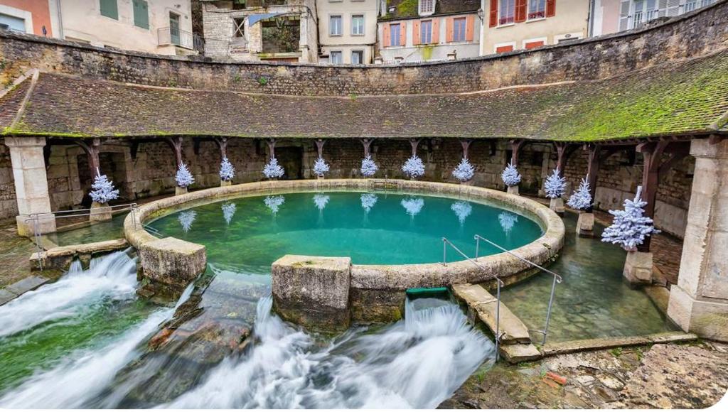 a large pool of water with a waterfall at La maison papillon in Tonnerre
