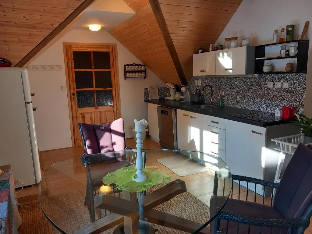 Kuchyň nebo kuchyňský kout v ubytování apartmán U dědy Lubina