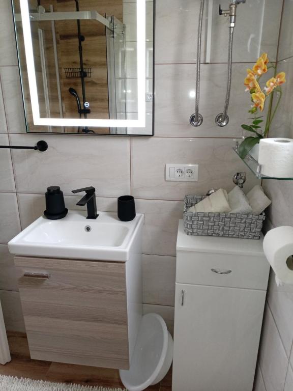 un bagno con lavandino, water e specchio di Planinska kuća Rabas a Bajina Bašta