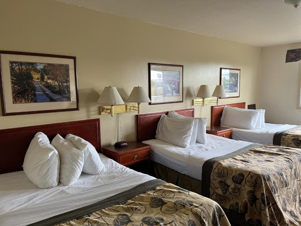 Postel nebo postele na pokoji v ubytování Travelodge by Wyndham Drumheller AB