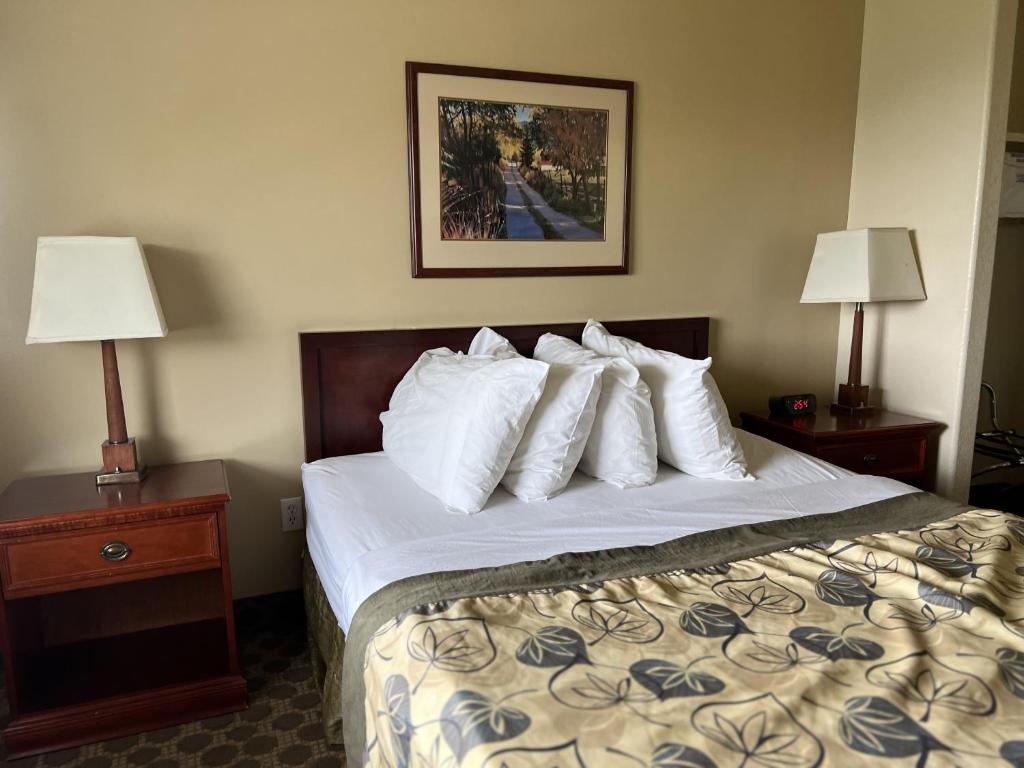 Postel nebo postele na pokoji v ubytování Travelodge by Wyndham Drumheller AB