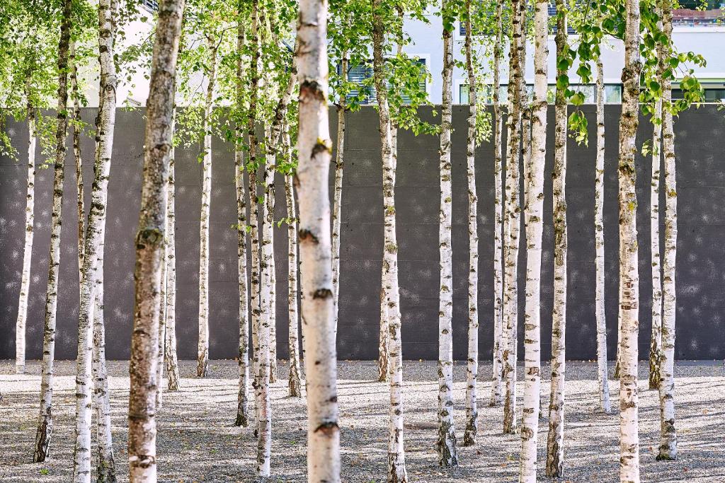 Greulich Design & Boutique Hotel - Resim 17