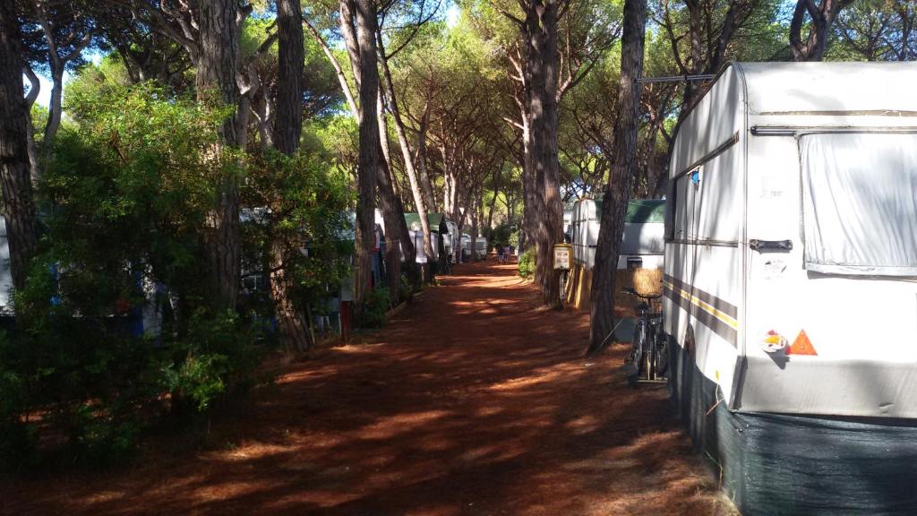 Camping Village Il Sole, Marina di Grosseto (aktualisierte Preise fr 2026)