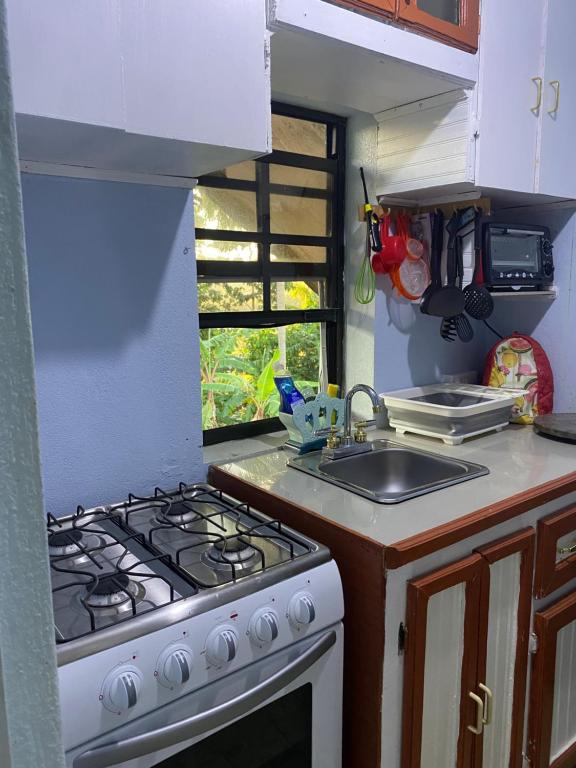 Kuchyň nebo kuchyňský kout v ubytování Anne's Homestay