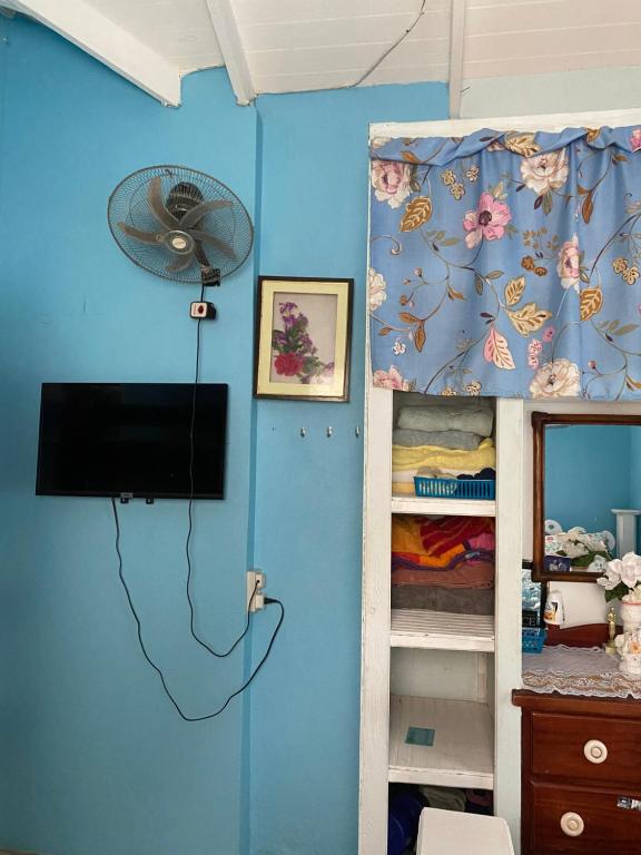 TV a/nebo společenská místnost v ubytování Anne's Homestay