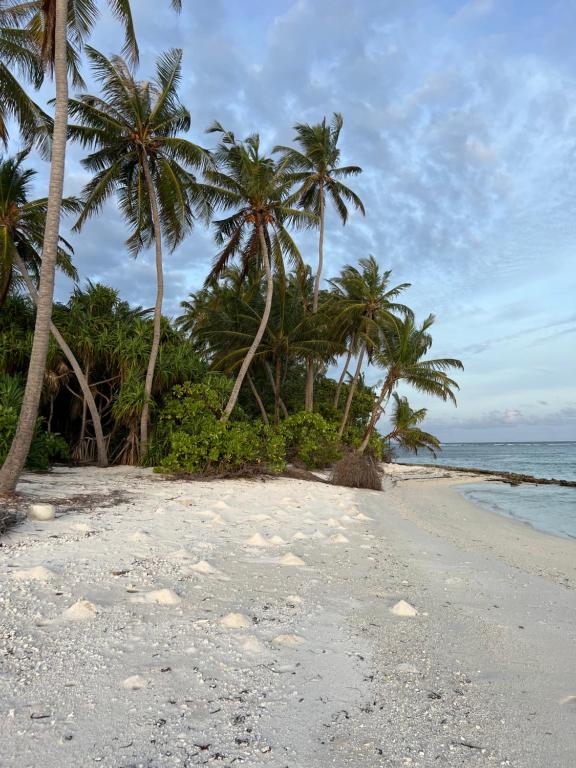 Dive and Sleep - All Inclusive Diving Guesthouse - 3 Dives per day - View 32