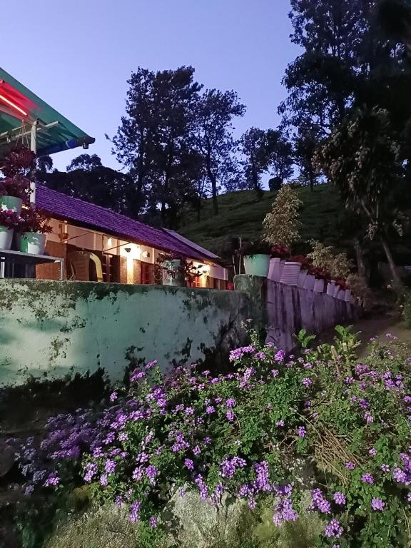 Zahrada ubytování Munnar home stay