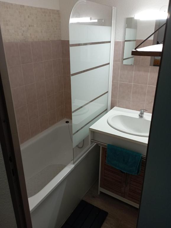 La petite salle de bains est pourvue d'une douche et d'un lavabo. dans l'établissement Appartement au Cœur du Col de Rousset, à Saint-Agnan-en-Vercors