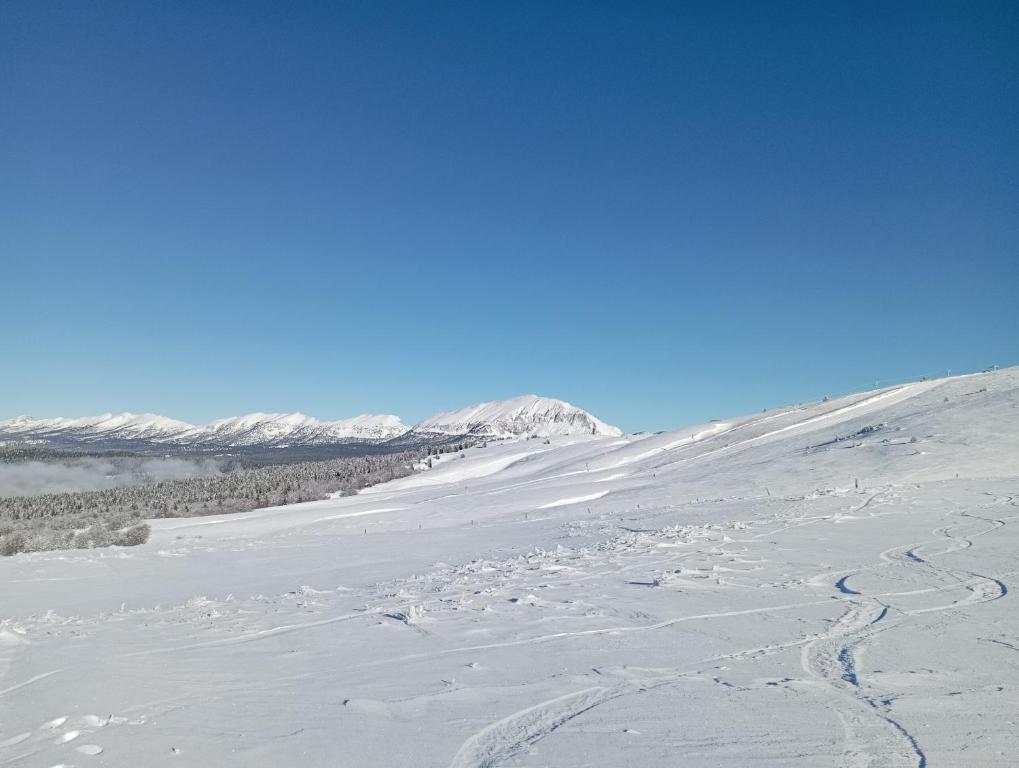 L'établissement Appartement au Cœur du Col de Rousset en hiver