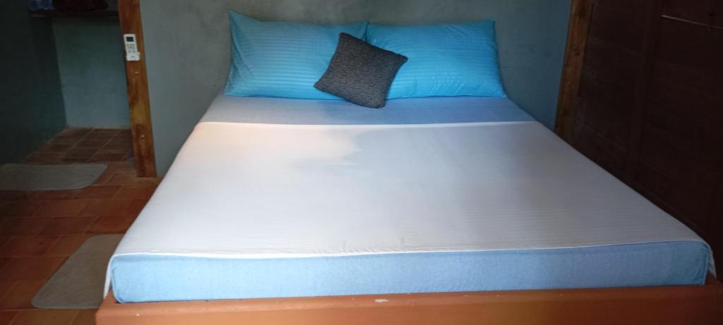 Postel nebo postele na pokoji v ubytování Cool Banyan Cabana