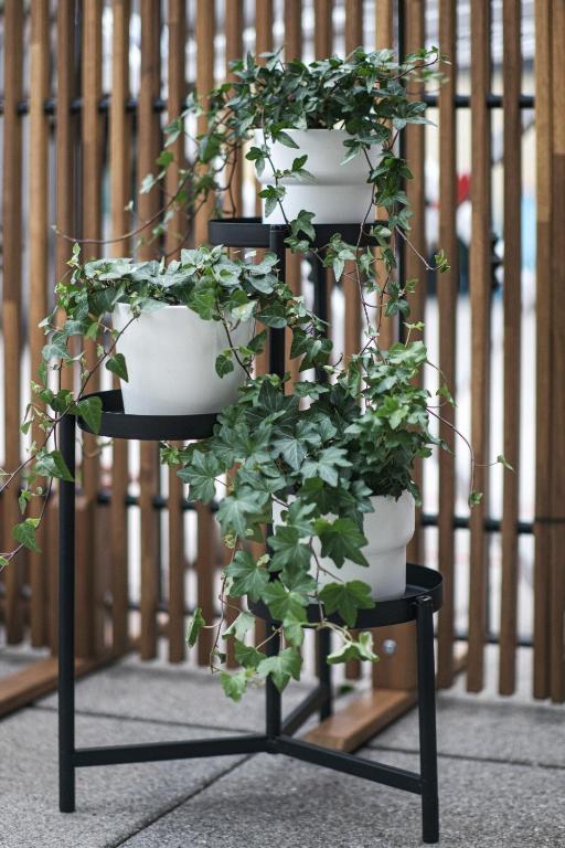 DUPLEX with Terrace - 6 min walk to Bernina Express - 8