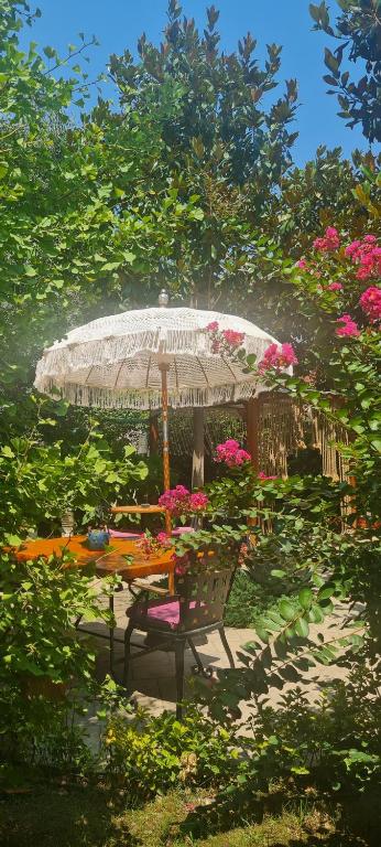 A garden outside Tuzla Garden Hotel & Spa