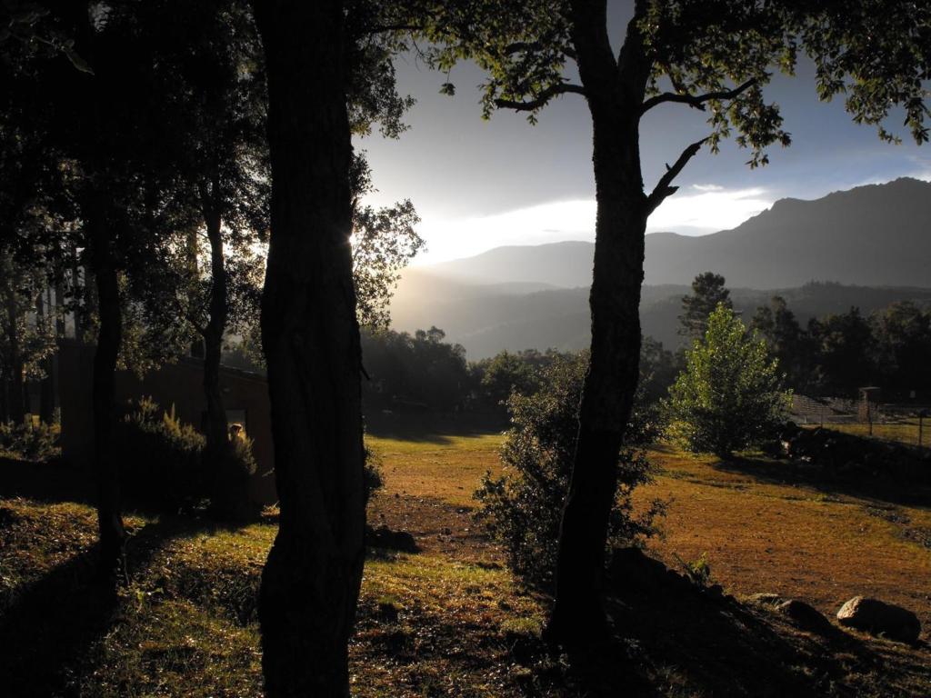 una vista de las montañas a través de los árboles en Camping Maçanet de Cabrenys, en Maçanet de Cabrenys