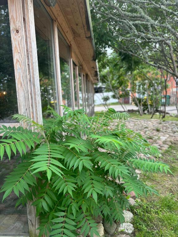 Butterfly House - Vakantiehuis