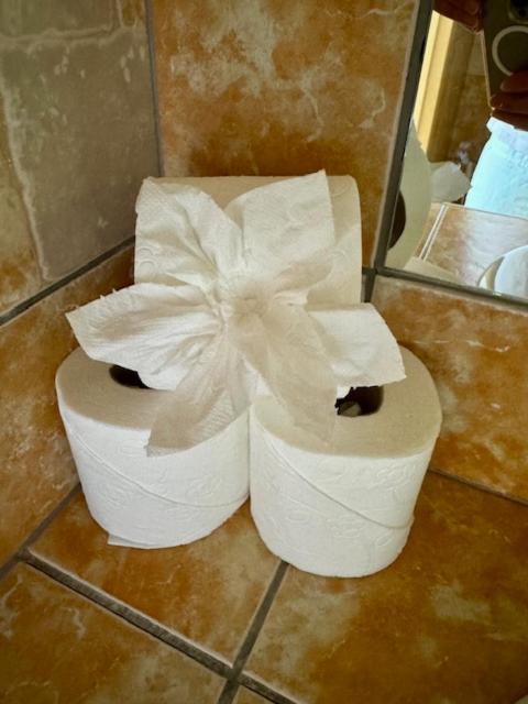 Penzion Kozí Horka u Brněnské přehrady - 12