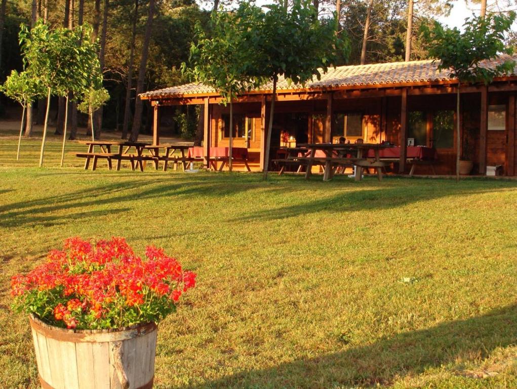 Zahrada ubytování Camping Maçanet de Cabrenys