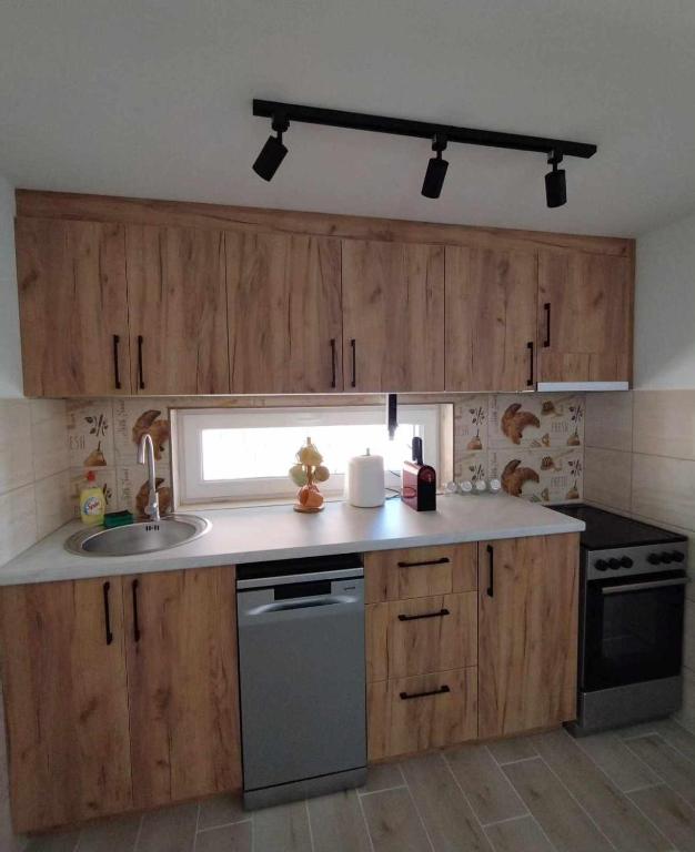 Kuchyň nebo kuchyňský kout v ubytování Apartman Djune
