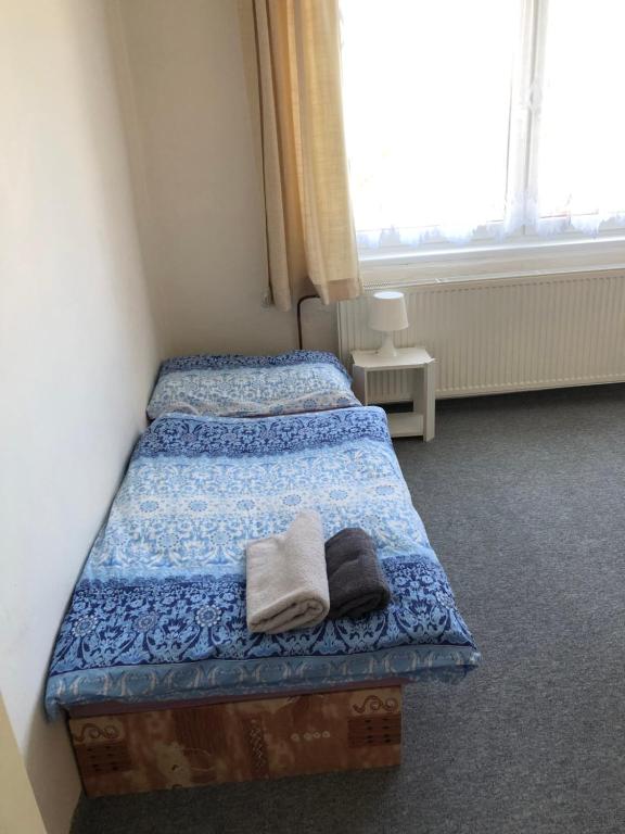 Postel nebo postele na pokoji v ubytování Apartmán Orlík nad Vltavou