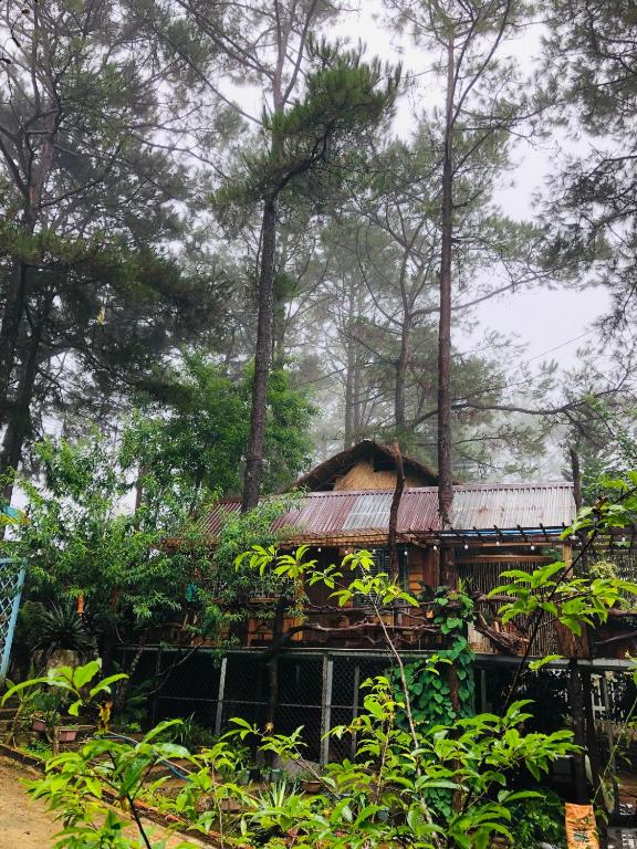 Vườn quanh Y Kim House Mang Đen