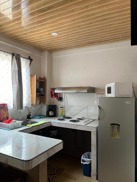 Kuchyň nebo kuchyňský kout v ubytování Apartamentos Mansión Tropical