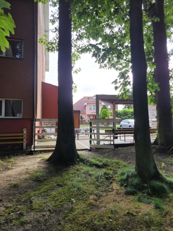 Příroda nedaleko ubytování v soukromí