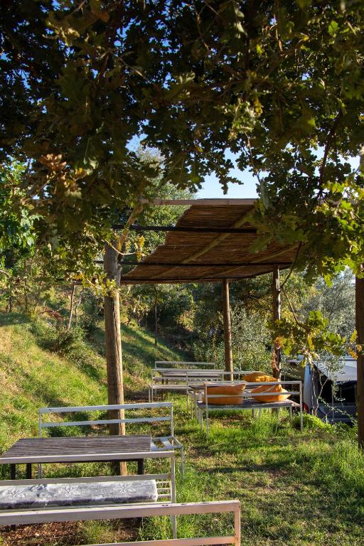 Zahrada ubytování Kruje Camping