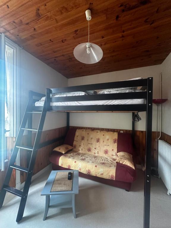 a bedroom with a bunk bed and a ladder at Appartement à la montagne in Mont-Dore