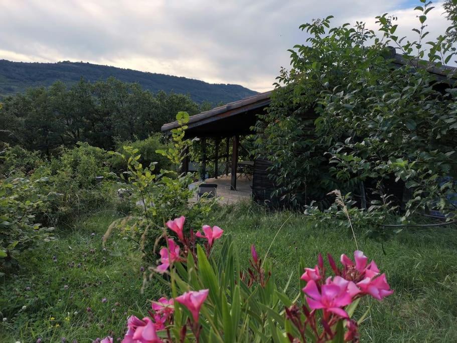 Photo de la galerie de l'établissement chalet 4 a 5 personnes - jaune, à Darbres