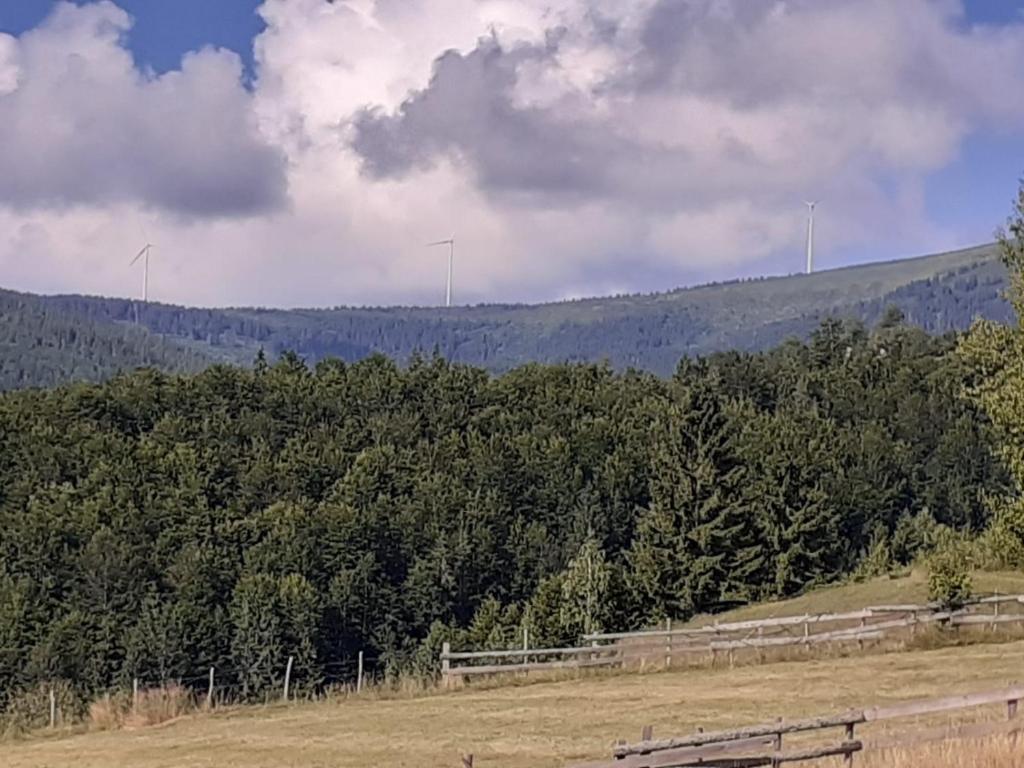 ein Zug auf einer Straße in der Nähe eines Hügels mit Bäumen in der Unterkunft Cabana Robert in Arieşeni