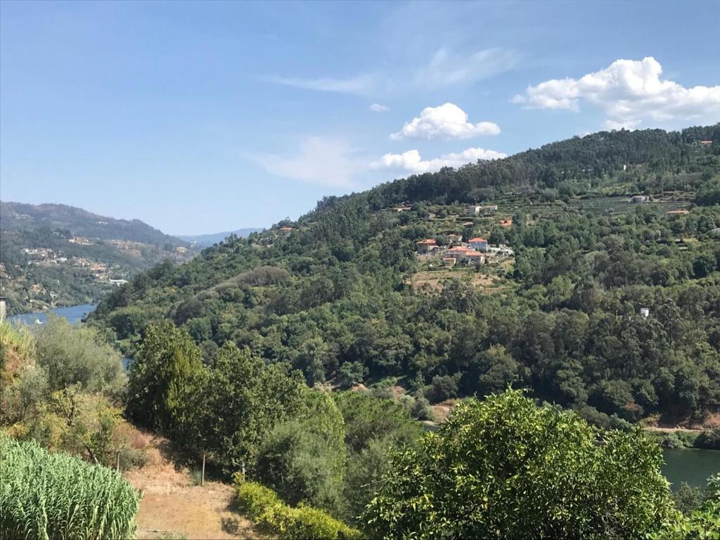 a view of a hill with trees and a river at Quinta do galo in Magrelos