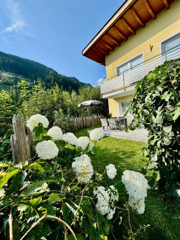 Zahrada ubytování Appartement Hänsel & Gretel