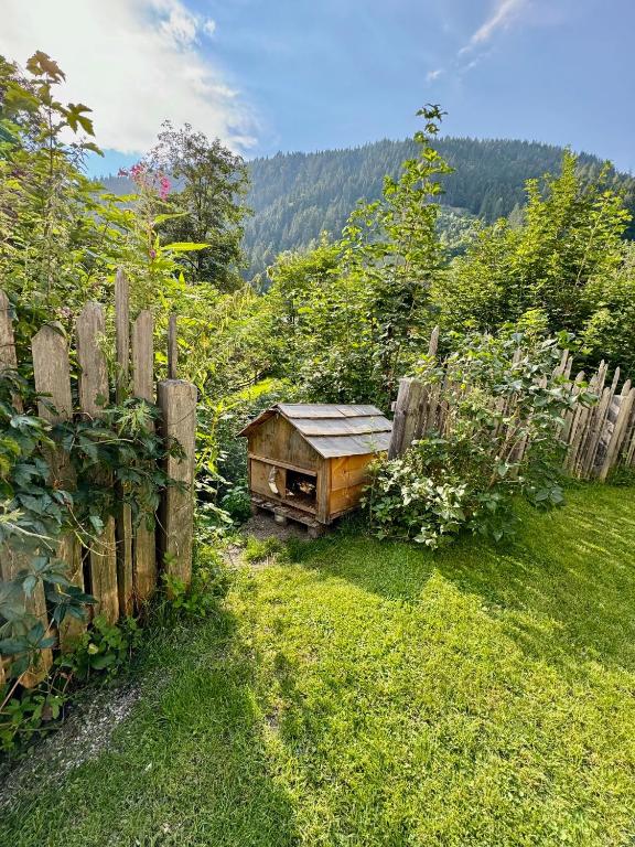 Příroda nedaleko apartmánu