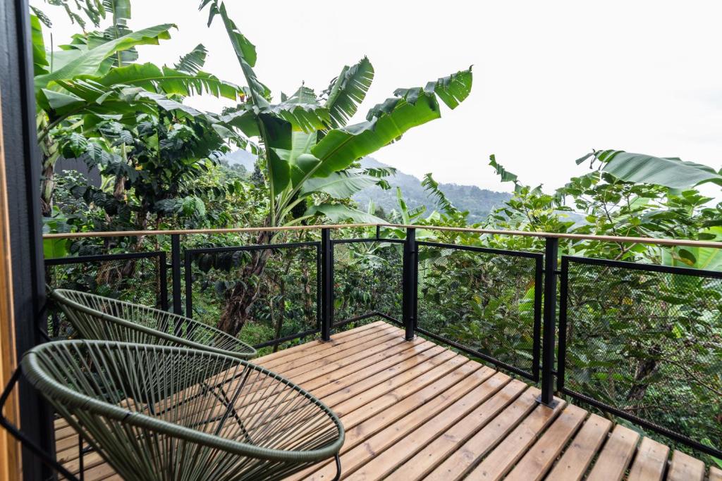 Balkón nebo terasa v ubytování Hotel La Palma y El Tucán - Café y Naturaleza