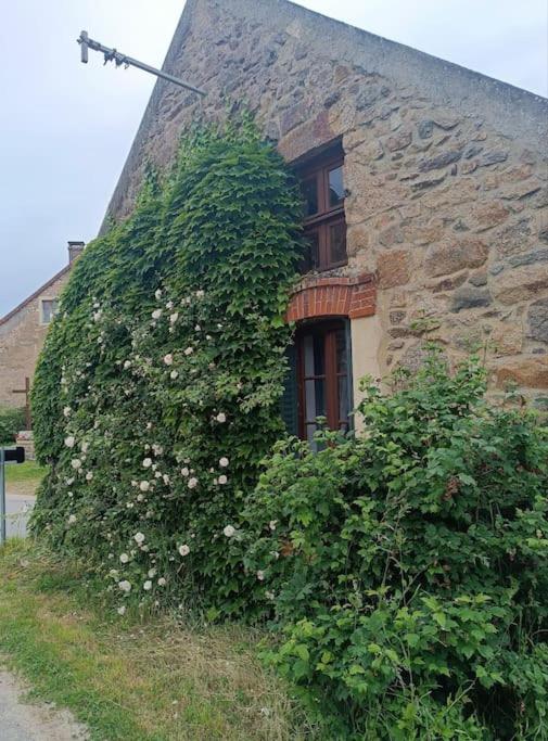 une brousse avec des fleurs blanches devant un bâtiment dans l'établissement Cottage in Burgund, à Le Rousset