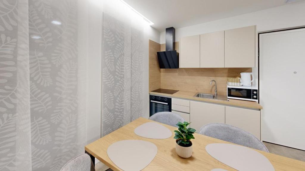 Kuchyň nebo kuchyňský kout v ubytování Calypso Residence