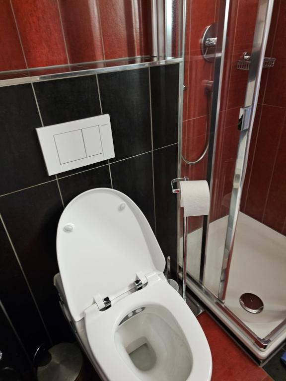 Apartment Studio Center of Bern & Up to 7 Seats Cars Rental Option - Resim 1