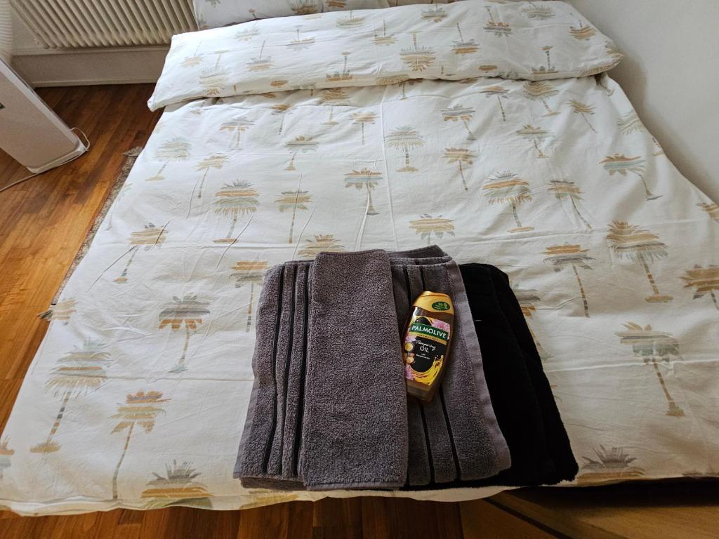 Apartment Studio Center of Bern & Up to 7 Seats Cars Rental Option - Resim 9