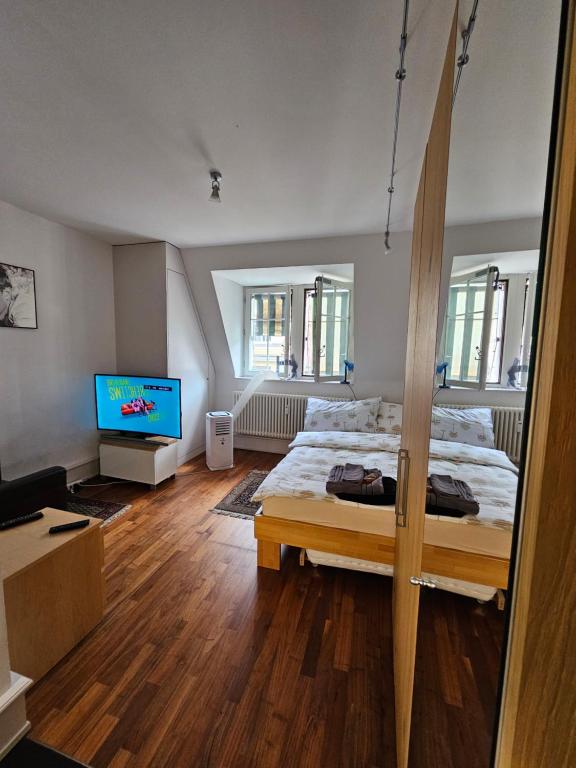 Apartment Studio Center of Bern & Up to 7 Seats Cars Rental Option - Resim 2