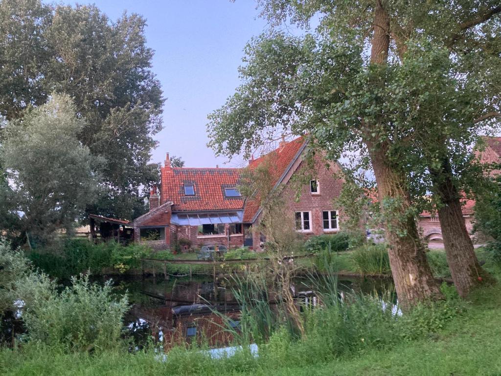une maison avec un étang en face de celle-ci dans l'établissement La fermette, à Herzeele