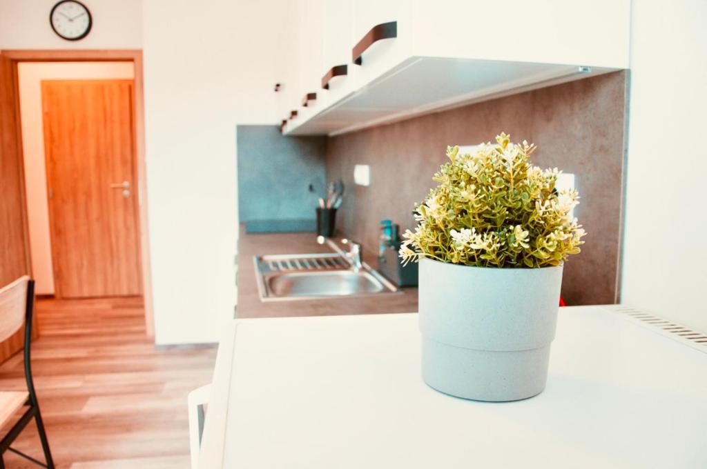 Fotografie z fotogalerie ubytování ZAROHEM 2 bedrooms APARTMENT in center with balcony v destinaci Brno
