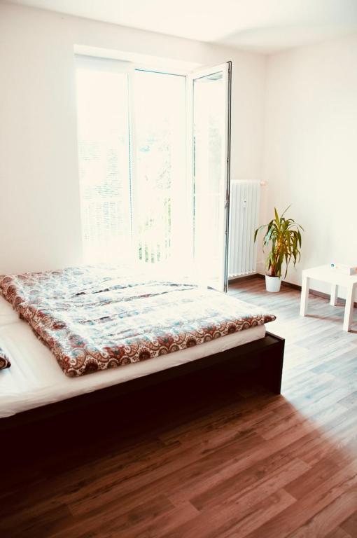 Postel nebo postele na pokoji v ubytování ZAROHEM 2 bedrooms APARTMENT in center with balcony