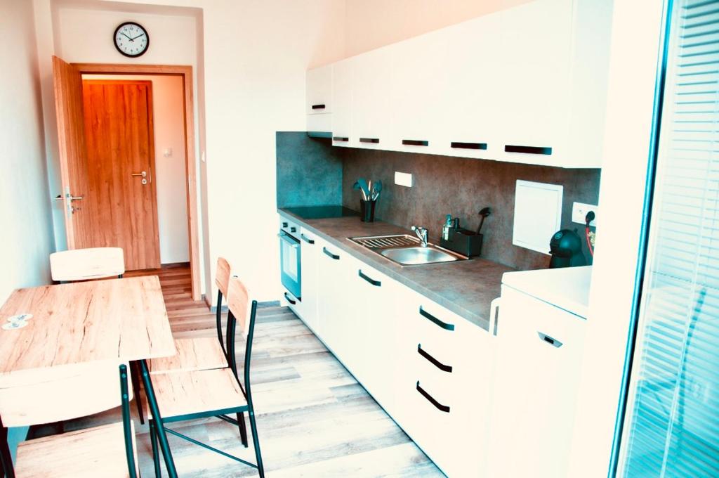 Kuchyň nebo kuchyňský kout v ubytování ZAROHEM 2 bedrooms APARTMENT in center with balcony