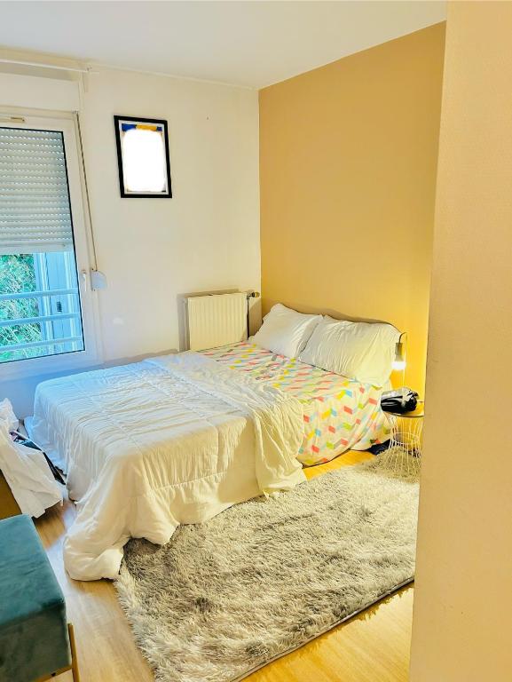 - une chambre avec un lit, un tapis et une fenêtre dans l'établissement Niti, à Cergy
