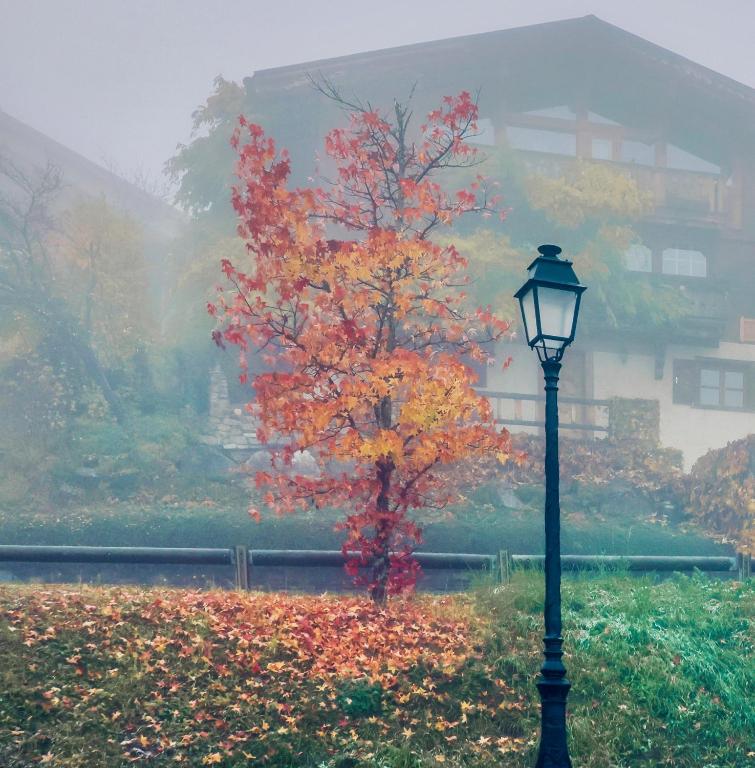 a tree with colorful leaves next to a street light at Appartement à Courchevel Saint Bon in Saint-Bon-Tarentaise