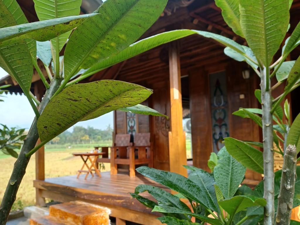 Zahrada ubytování Bujak Permai Villa Matahari Lombok NTB