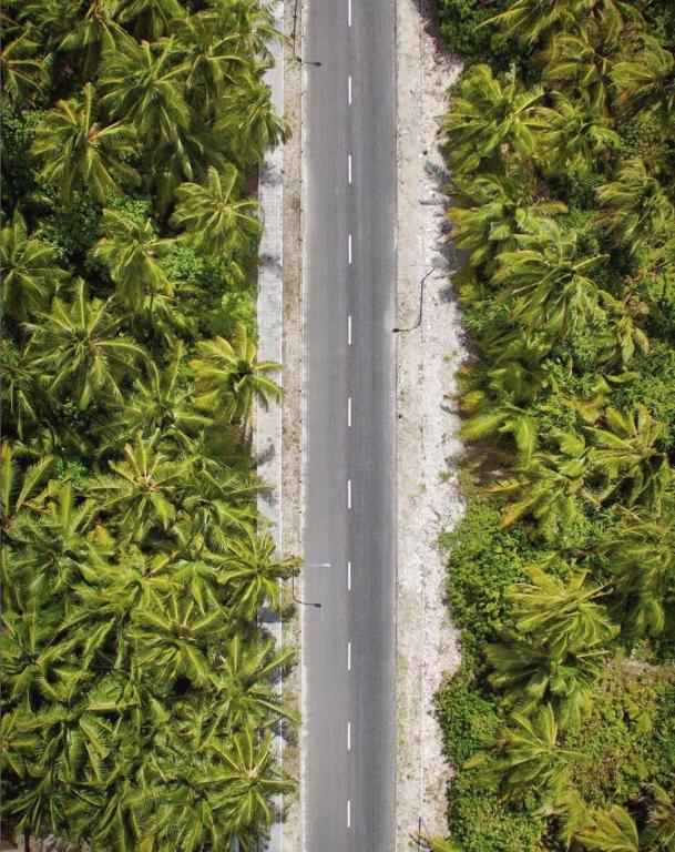 an aerial view of a road with palm trees at Suffix Retreat - Stay, Dive & Explore Fuvahmulah in Fuvahmulah
