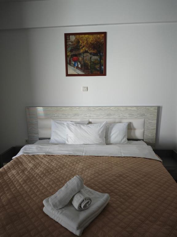 Postel nebo postele na pokoji v ubytování Camere de închiriat Havana Beach