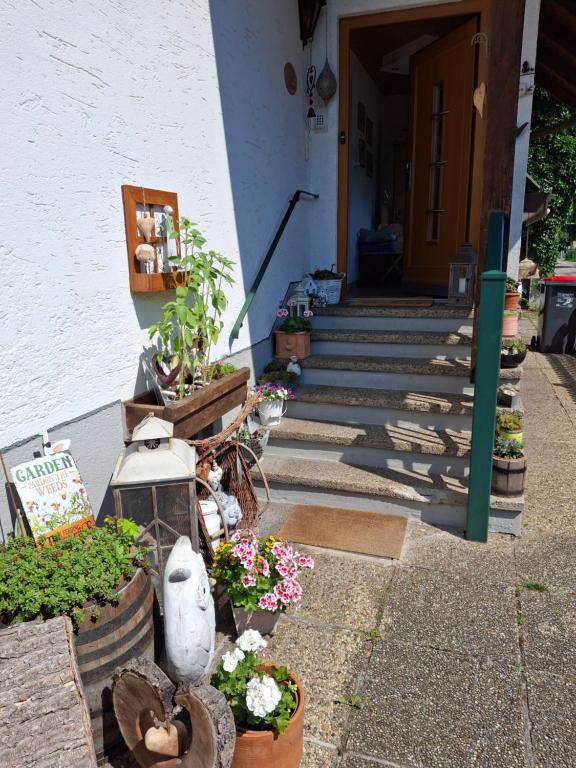 Zahrada ubytování Maria's Ferienwohnung