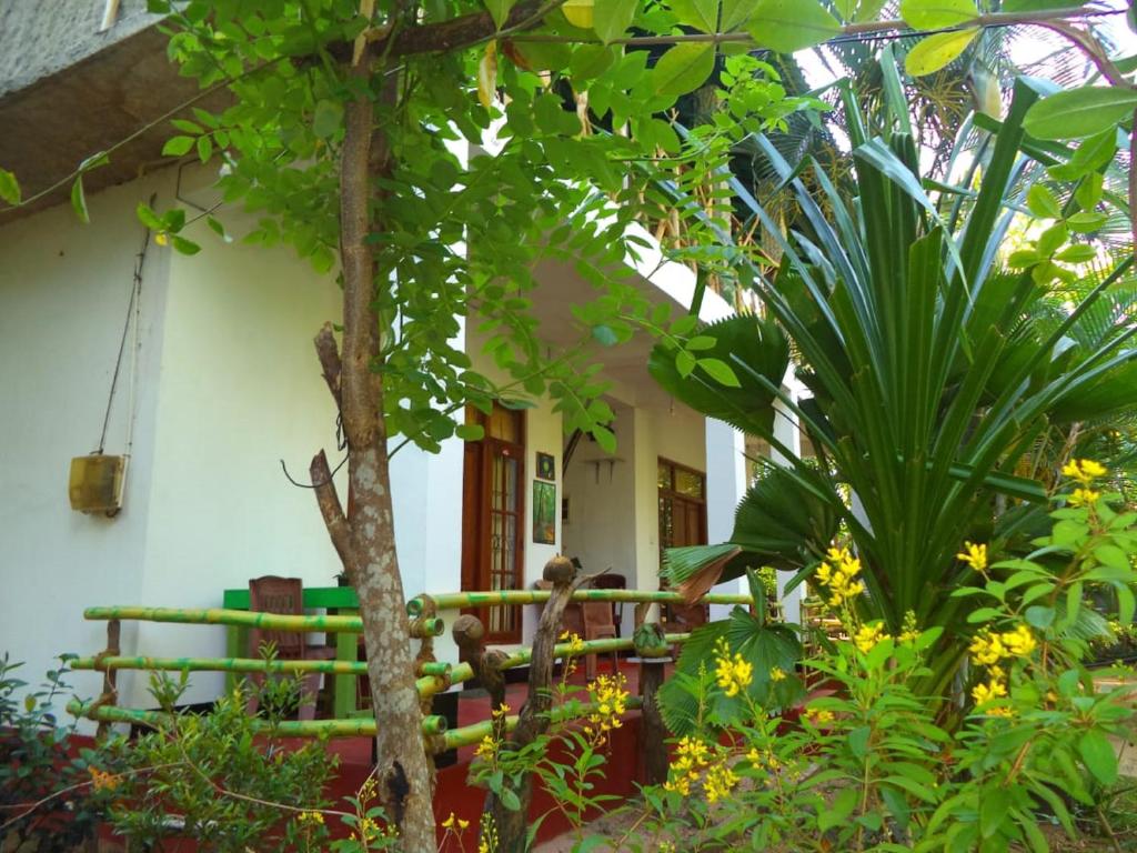 Zahrada ubytování N S K Green Villa