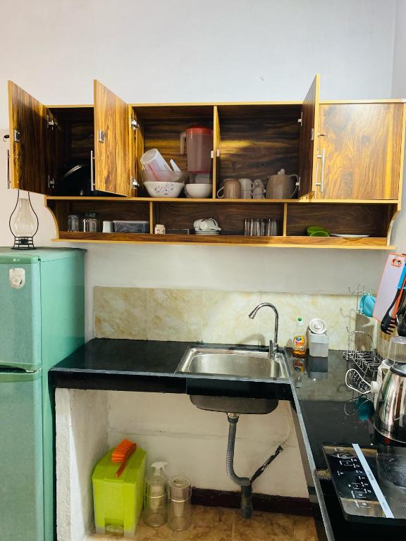Kuchyň nebo kuchyňský kout v ubytování Alson Villa